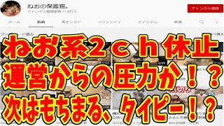 ねおの保護猫が休止！？次はもちまる、タイピーも休止か？虐待猫チャンネルは年内終焉！！