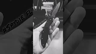 Byrd Cara Cara 2 by Spyderco spydie flick & Spydie drop