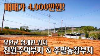 [전남토지매매] 매물번호#168 전원주택부지 및 주말농장부지! 무안군 청계면 도대리 시골땅 촌땅 토지 매매