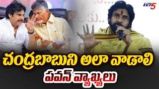 Deputy CM Pawan Kalyan Interesting Comments On CM Chandrababu Naidu | Tv5 News