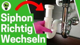 Siphon Wechseln Waschbecken  TOP ANLEITUNG: Wie Waschtisch Röhrengeruchsverschluss Austauschen???