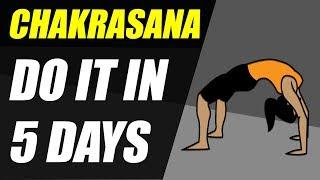 How to do Chakrasana perfectly in 5 days | Easy and Effective method