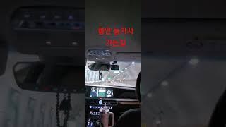 가족 나들이#반려견 함께 #함안 #능가사 가는길 #박앵두 #그래요