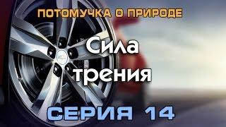 Потомучка о природе 14. Сила трения