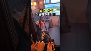 해리포터 덕후라면 꼭 가봐야 하는 그 곳