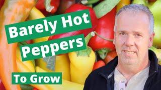 6 Best Barely HOT Peppers to Grow