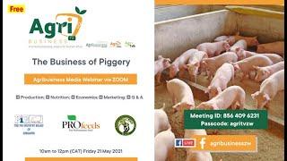 Pig Farming-Don't Start Before Watching this