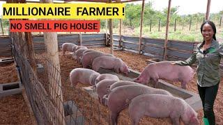 How To Make Millions In A Simple PIG Farm Business! | 2024 Farm Routine