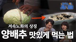 양배추와 정희원 교수의 공통점 |  저속노화 레시피