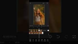 CapCut Blur Tutorial