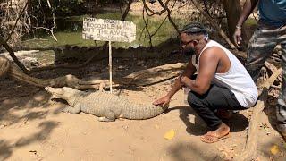 Trip to The Gambia (Bakau Kachikally )