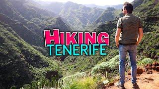 Tenerife Hiking Guide - Top 3 Best Hikes & Trails to Explore for Nature Lovers | Canary Islands