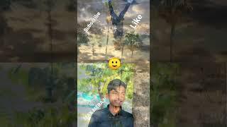 MAX MERAJ // SHORT VIDEOS