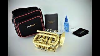 Carol Brass cpt-1000 Bb Mini Pocket Trumpet Unboxing (캐롤브라스 미니 포켓트럼펫 언박싱)