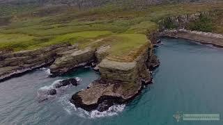 Wild Catlins, NZ... Cathedral Cave 8.7km Drone Flight