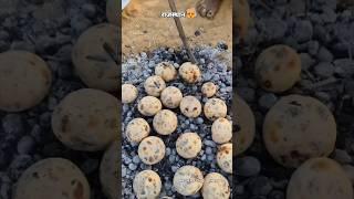 राजस्थान  #rajasthan #shorts #food #ytshorts #villagelife #desi #marwadi #gav #culture #dalbaati