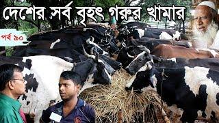 Krishichitra/কৃষিচিত্র-90-Cow Frame in Bangladesh, দেশের সর্ববৃহৎ গরুর খামার, ভালো জাতের গাভী দেখুন