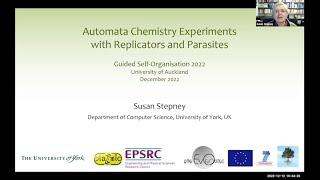 Automata Chemistry Experiments with Replicators and Parasites