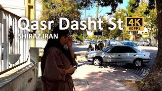 Shiraz Walking Tour, Qasr Dasht St., Autumn, Iran 2022