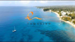 Tamarind by Elegant Hotels | Barbados | with Destination2.co.uk