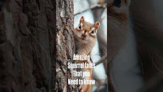 Amazing squirrel facts that you need to know