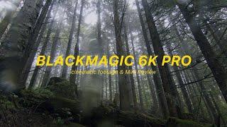 BlackMagic Pocket 6K Pro Cinematic - Mini Review