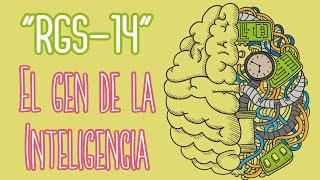 "RGS-14" ¿Limita la Inteligencia? *EXPLICACIÓN*