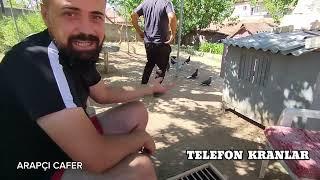 ARAPCI CAFER (TELEFON KRANLAR) 