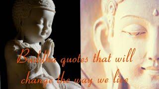 POWERFUL quotes of BUDDHA || Every morning, we are born again!