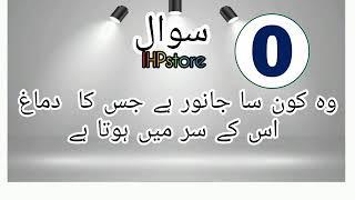 paheliyan in urdu || Urdu paheliyan  || acchi acchi paheliyan || YouTube channel IHPSTORE