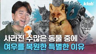 앞으로 우리가 길에서 마주칠 수도 있는 뜻밖의 동물｜크랩