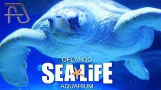 SEA LIFE Orlando Aquarium at ICON Park - Full Tour!