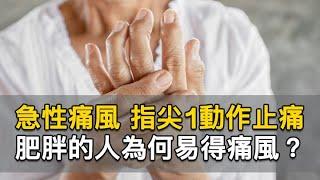 急性痛風 指尖1動作止痛  肥胖的人為何易得痛風？ ｜曹永昌 醫師｜474｜談古論今話中醫｜中醫知識CooL