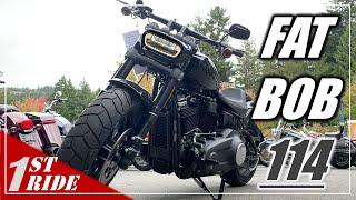 2021 Harley Softail Fat Bob 114 Review - One Bike to Rule 'em All.