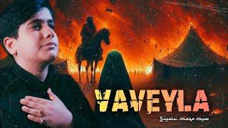 Vaveyla - Seyed Mohammad Hoseini | 2024 | HD | سید محمد حسینی