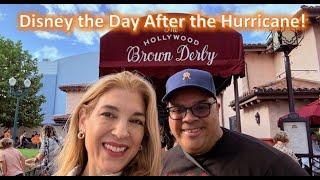 Disney World Day After Hurricane Milton!  Hollywood Studios & Brown Derby Review