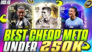 BEST CHEAP META PLAYERS UNDER 50K/100K/250K ON EACH POSITION!CHEAP + EXPENSIVE FC 25 ULTIMATE TEAM