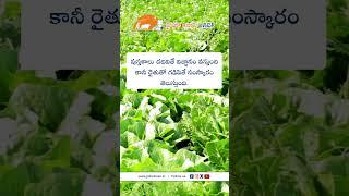 JHK Farmer Quote | Motivational quotes Telugu II Inspirational Quotes II Telugu Quotes #jhk