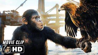 Eagle Hunt Scene | KINGDOM OF THE PLANET OF THE APES (2024) Movie CLIP HD