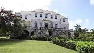 Flower Hill Jamaica - Rose Hall