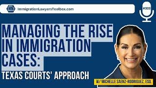 Managing The Rise In Immigration Cases: Texas Courts' Approach