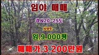 물번,737번) 소형 임야 9.000평 임업용산지.매매가,3.200만원 농림지역, 입니다, 경사도20~25도 맹지이나 현황길 있습니다, 임산물재배,산약초재배지로 사양토입니다,