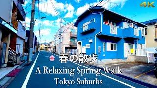  A Relaxing Spring Walk in Tokyo’s Quiet Suburbs [4K] | Peaceful Japan Ambience