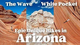 The Hardest Lottery Permits to Hike the Wave! & White Pocket, Lake Powell in Page, Arizona