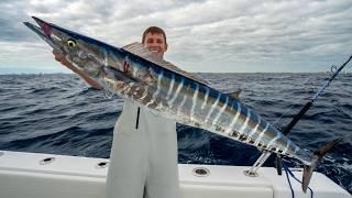 Florida's MOST Overrated Fish... Wahoo & Mahi Mahi! Catch Clean Cook