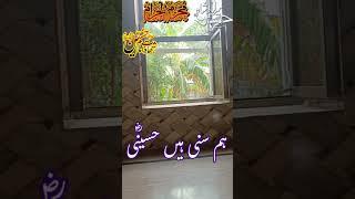 Ham Sunni Hai Hussaini Hamara Hussain Hai #سبحان_الله #viral #love #islamicgreeting #100kviews #duet