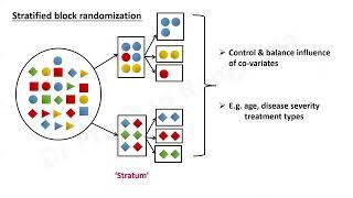 Randomization & Bias_Overview_Trainee Tutorials