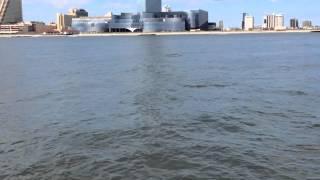 Dolphin watching boat tour with Atlantic City Cruises, NJ 9/23/14 Part 1