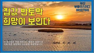 부산부동산 부산아파트 집값 반토막. 희망이 보인다