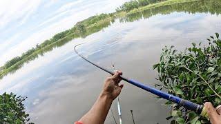 Fishing | Câu Đài | Tập 186 | Câu Bán thiên Nhiên , Cá Quá Cá | Nghiện Câu TV